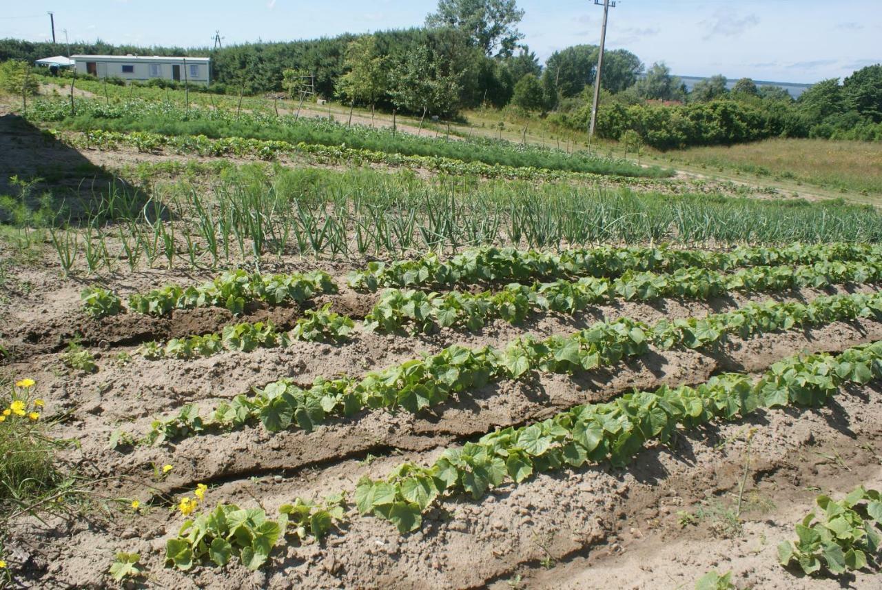 Agrodomki Okej -Dom Kasjan Gardna Wielka Kültér fotó