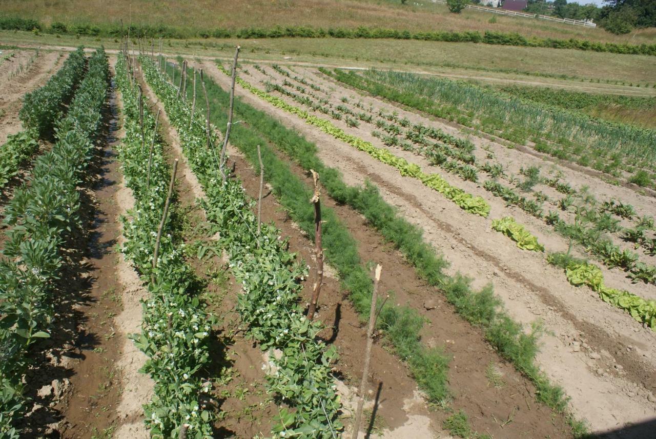 Agrodomki Okej -Dom Kasjan Gardna Wielka Kültér fotó